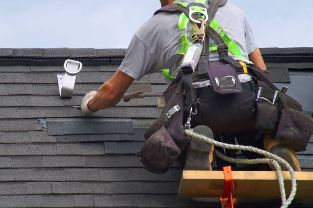 Best Roof Repair Estimates  in New Tazewell, TN