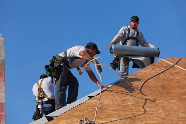 Best Roof Restoration Services  in New Tazewell, TN