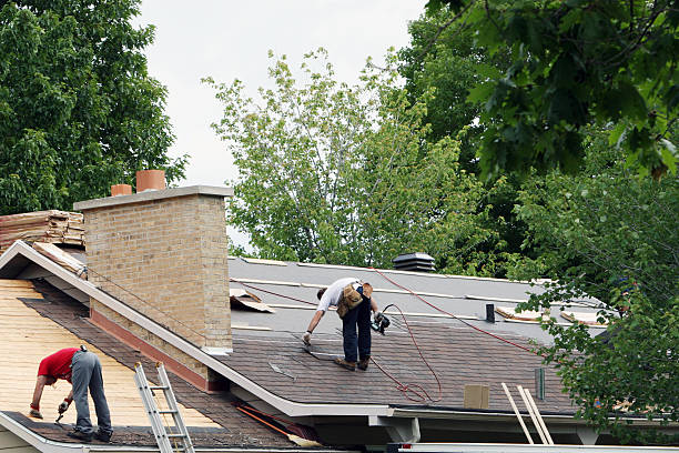 Best Roof Maintenance Services  in New Tazewell, TN