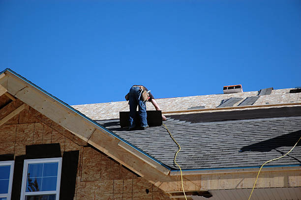 Best Roof Gutter Cleaning  in New Tazewell, TN