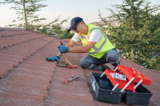 Best Local Roofing Companies  in New Tazewell, TN