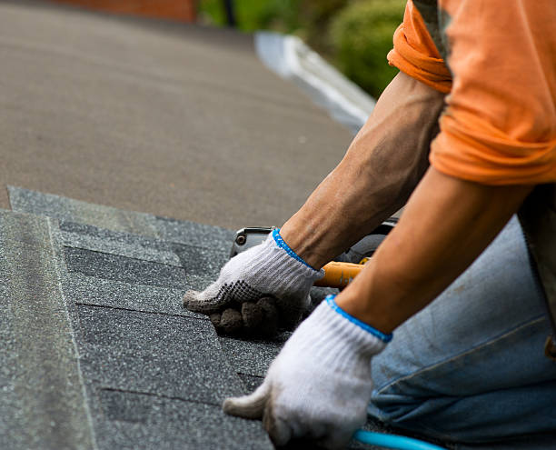 Quick and Trustworthy Emergency Roof Repair Services in New Tazewell, TN