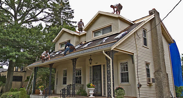 Best Storm Damage Roof Repair  in New Tazewell, TN