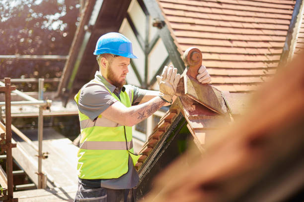 Best Emergency Roof Repair  in New Tazewell, TN