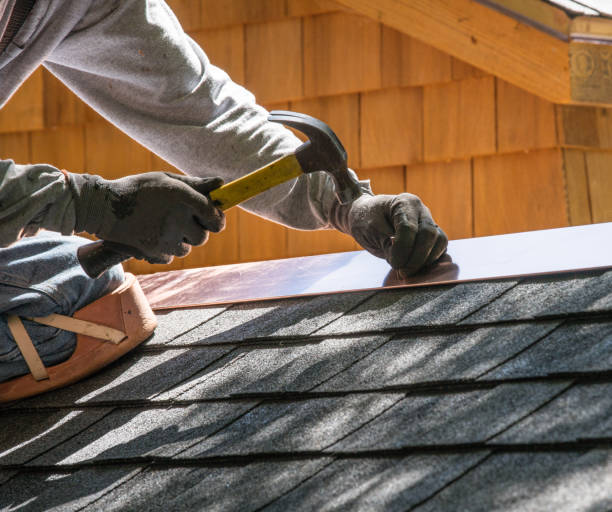Best Roof Repair Services  in New Tazewell, TN